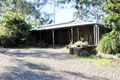 Property photo of 10-16 Sharton Avenue Buccan QLD 4207
