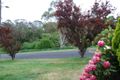 Property photo of 15 Pine Street Katoomba NSW 2780