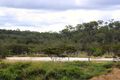 Property photo of 30 Catherine Atherton Drive Mareeba QLD 4880