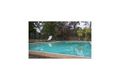 Property photo of 73 Nicholson Avenue Thornleigh NSW 2120