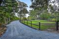 Property photo of 6 Nyrang Drive Pimpama QLD 4209