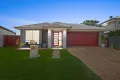 Property photo of 42 Grebe Circuit North Lakes QLD 4509