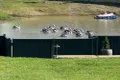 Property photo of 3 Toms Close Goondiwindi QLD 4390