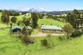 Property photo of 1147 Taylors Arm Road Utungun NSW 2447