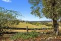 Property photo of 1147 Taylors Arm Road Utungun NSW 2447
