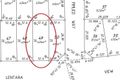 Property photo of 8 Lentara View Hilbert WA 6112