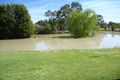 Property photo of 14 Kingfisher Drive East Moama NSW 2731