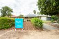 Property photo of 5 Collingwood Street Risdon Park SA 5540