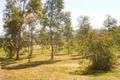 Property photo of 84 Gap Flat Road Allans Flat VIC 3691