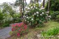 Property photo of 3 Olinda Creek Road Kalorama VIC 3766