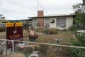 Property photo of 53 Abbott Street Birchip VIC 3483