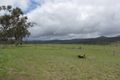 Property photo of LOT 2 Cunningham Highway Greymare QLD 4370