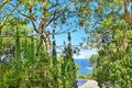 Property photo of 60 Scenic Drive Caves Beach NSW 2281