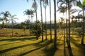 Property photo of 206 Euluma Creek Road Julatten QLD 4871