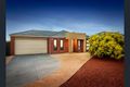 Property photo of 7 Pinjar Avenue Tarneit VIC 3029