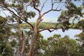Property photo of 19 Whites Avenue Caringbah South NSW 2229