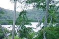 Property photo of 81 Glenworth Valley Road Wendoree Park NSW 2250