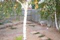 Property photo of 32 Nellie Hamilton Avenue Gungahlin ACT 2912