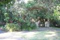Property photo of 29 York Street Beecroft NSW 2119