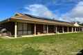 Property photo of 20 Prider Street Nuriootpa SA 5355