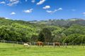 Property photo of 36 Hillcrest Drive Tintenbar NSW 2478