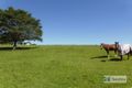 Property photo of 245 Clovass Road Clovass NSW 2480
