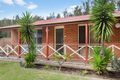 Property photo of 1 Melaleuca Crescent Catalina NSW 2536