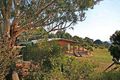 Property photo of 75 Old Lorne Road Deans Marsh VIC 3235