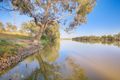 Property photo of 13583 Sturt Highway Lowbank SA 5330