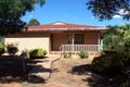 Property photo of 100 Ryall Street Canowindra NSW 2804