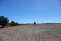 Property photo of 52 Burts Road Dutton SA 5356