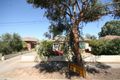 Property photo of 54 Scottish Avenue Clovelly Park SA 5042