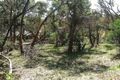 Property photo of 47 Parker Street Anglesea VIC 3230