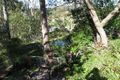 Property photo of 88 Greentrees Avenue Kenmore Hills QLD 4069