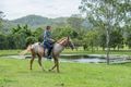 Property photo of 885 Browns Creek Road Eerwah Vale QLD 4562