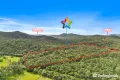 Property photo of 256 Warcons Road Cawarral QLD 4702