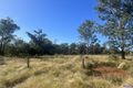 Property photo of 465 Boardman Road Hodgleigh QLD 4610