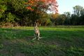 Property photo of 6375 Stuart Highway Coomalie Creek NT 0822