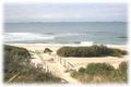 Property photo of 37 Caldwell Avenue Dudley NSW 2290