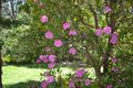 Property photo of 325 Great Western Highway Warrimoo NSW 2774