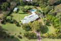 Property photo of 20 Auburn Court Yandina Creek QLD 4561