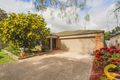 Property photo of 7 Trigger Cove Upper Coomera QLD 4209