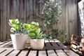 Property photo of 1/504-506 New Canterbury Road Dulwich Hill NSW 2203