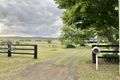 Property photo of 648 Kerry Road Kerry QLD 4285