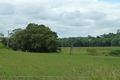 Property photo of 258 Paynters Creek Road Rosemount QLD 4560