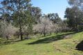 Property photo of 109 Eagles Road Harcourt VIC 3453