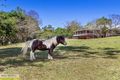 Property photo of 78 Greensill Road Albany Creek QLD 4035