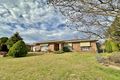 Property photo of 46 Pineview Circuit Young NSW 2594