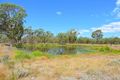 Property photo of 619 Wickhams Road Karara QLD 4352