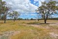 Property photo of 619 Wickhams Road Karara QLD 4352